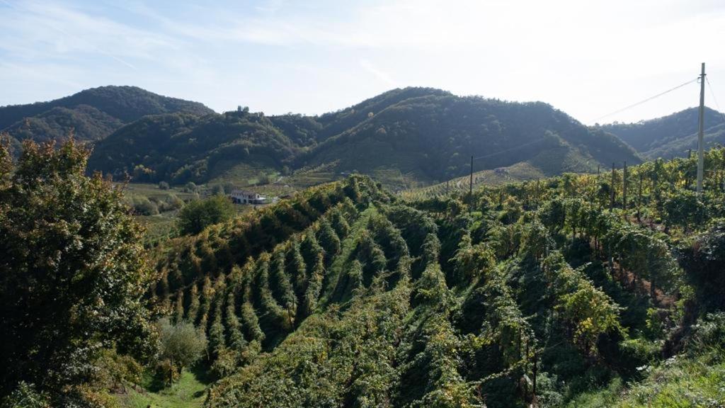 Margherita * Pieve di Soligo