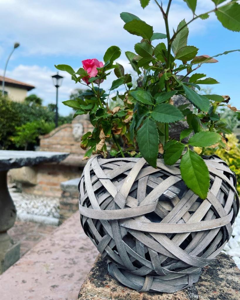 Margherita * Pieve di Soligo