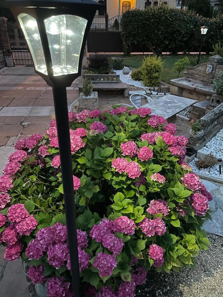 Bed & Breakfast Margherita